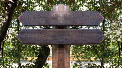 Arrow signs opposite directions. Two blank wooden pointers, forest trees background, copy space