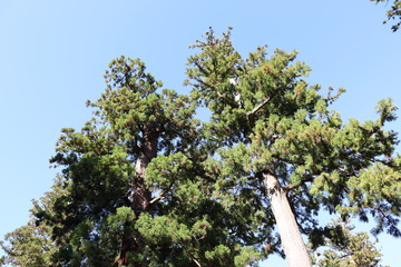 三重県　伊勢市　景色