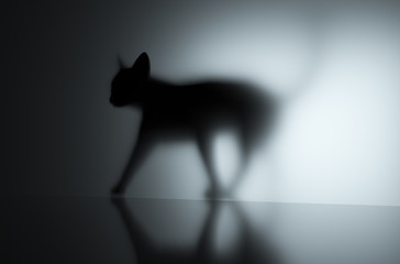 3D render of a cat walking with shadow against a wall