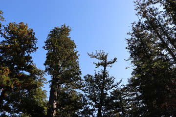 Obraz premium 三重県 伊勢市 景色