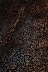 dry crack soil surface closeup nature background