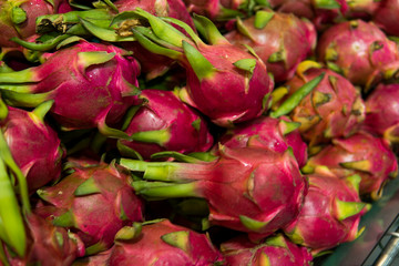 Obraz na płótnie Canvas Dragon fruit with a lots of dragon fruit on a background. Dragon fruit or pitaya. Tropical and exotic fruits. Healthy and vitamin food concept.