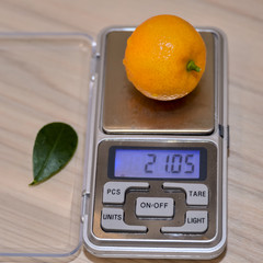 Bright orange calamondine fruit on the scales.