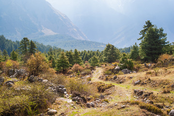 Picture of trekking foothpath in mountains