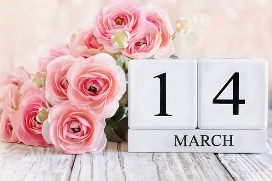 White wood calendar blocks with the date March 14th and pink ranunculus flowers over a wooden table. Selective focus with blurred background.