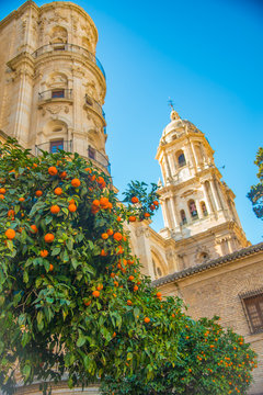 ANDALUSIA, SPAIN - February 6, 2019: Malaga is a town in Granada, Spain. It is known as La Malaga de Picaso.