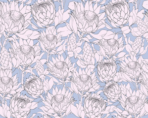 Vector pattern set of proteas.