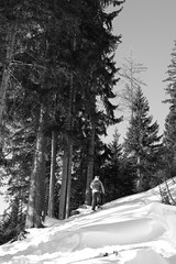 Alps scenery in black and white