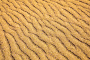 Sand on the beach forms strucktures and shapes on golden yellow fine sand background pattern holiday season summer travel vacation abstract line lines wave wavy