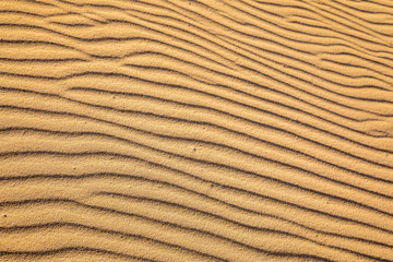 Sand on the beach forms strucktures and shapes on golden yellow fine sand background pattern holiday season summer travel vacation abstract line lines wave wavy