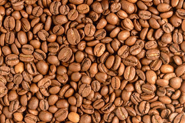 Natural roasted coffee beans. Indignant for tonic. Coffee industry