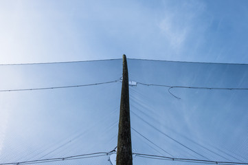 Fototapeta premium Outdoor golf range netting. Looking up at pole with black netting. 