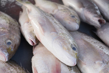A wet market selling different colorful fishes with people buying in the morning .