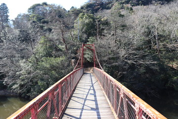 観音山公園　吊り橋