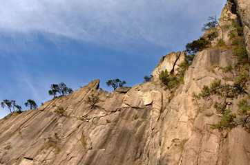 Huangshan Mountain in Anhui Province, China. Viewpoint near Fairy Walking Bridge on Huangshan. View of a steep cliff with pine trees along the ridge on Huangshan Mountain, China.
