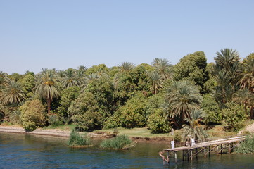 Fototapeta na wymiar Le Nil