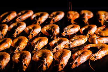 grilled shrimps. shrimp cooked on the grill.