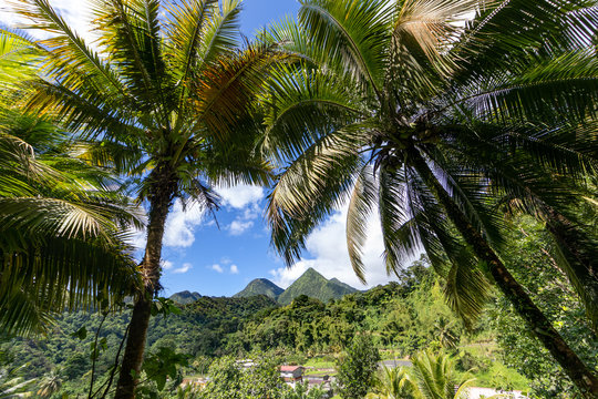 Fort de France, Martinique, FWI - View to the Carbet Pitons from Balata gardens