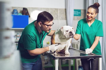 Abwaschbare Fototapete Tierärzte Tierarzt und Assistent in der Tierklinik bei der Arbeit.