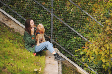 woman with american cocker spaniel walks at autumn park