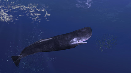 Cachalot sperm whale is chasing group of small school of fish school side view 3d rendering © bekirevren
