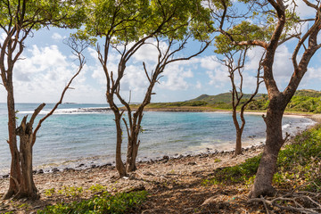 Fototapeta na wymiar Sainte-Anne, Martinique, FWI - Ferré Cape and Grande Anse beach