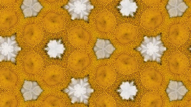 Kaleidoscope backdrop of gerbera flowers macro, bright white, yellow and orange colors. Natural floral background. Zoom out motion
