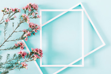 Beautiful flowers composition. Blank frame for text, pink flowers on pastel blue background. Valentines Day, Easter, Birthday, Happy Women's Day, Mother's day. Flat lay, top view, copy space