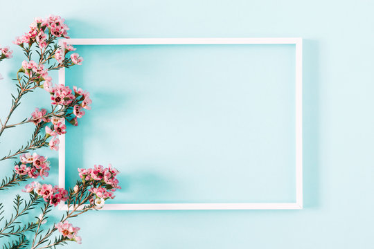Beautiful flowers composition. Blank frame for text, pink flowers on pastel blue background. Valentines Day, Easter, Birthday, Happy Women's Day, Mother's day. Flat lay, top view, copy space