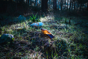 Human pollution in the forest