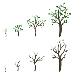 Growing Trees