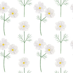 Seamless pattern Cosmea flowers watercolor botanical illustration