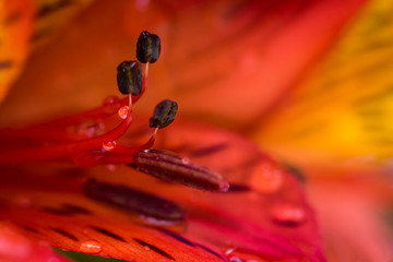 Le temps qui passe...!