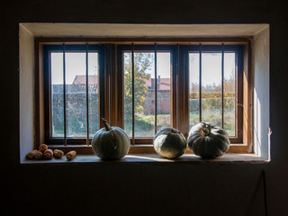 Old window with pumpkins.