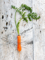 Organic carrot on a old hardwood background. 