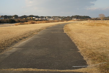 田舎の道