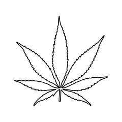 Obraz premium Marijuana leaf, cannabis icon 