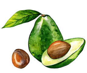 Avocado, half of avocado, avocado seed watercolor illustration, Hand drawn painting isolated on white background, organic food ingredients for magazine page, healthy natural product, design menu, web