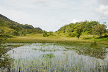 Landschaft in Schottland (Highlands)