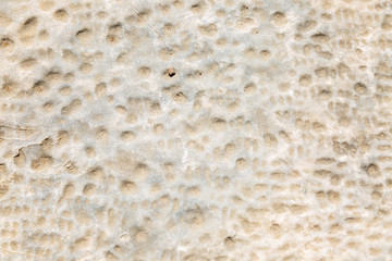 The texture of the old stone. Background. Space for text. Close-up.