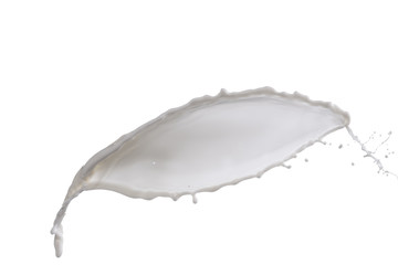 splash of milk on a white background