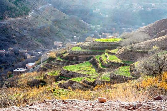 Beautiful terraced fields in high Atlas mountains in Morocco