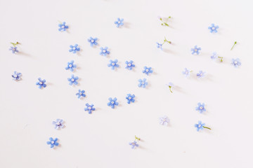 Blue forget-me-nots in the shape of a heart. Small flowers on a white background, holiday card