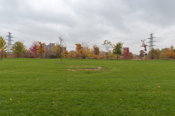 Césped con cielo nublado