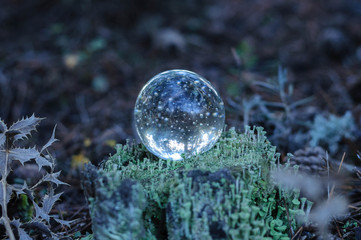 glass ball on a green stump in the forest