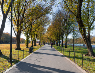 Hermosa camino en Washington DC 