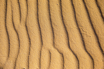 Sand on the beach forms strucktures and shapes on golden yellow fine sand background pattern holiday season summer travel vacation abstract line lines wave wavy
