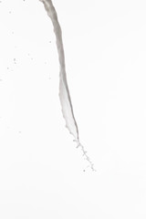 Fototapeta na wymiar pure fresh white milk splash isolated on white