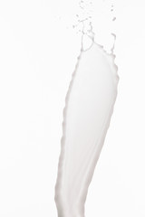 pure fresh white milk splash isolated on white
