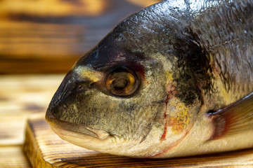 darado fish on a wooden table